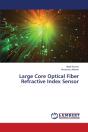 Large Core Optical Fiber Refractive Index Sensor - Preview