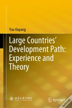 Capa do artigo Large Countries' Development Path: Experience And Theory