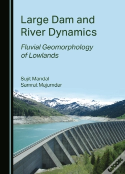 Capa do artigo Large Dam And River Dynamics