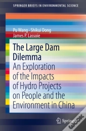 Large Dam Dilemma