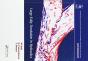 Large-Eddy Simulation In Hydraulics - Preview