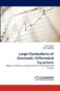 Large Fluctuations Of Stochastic Differential Equations - Preview