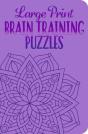 Large Print Brain Training Puzzles - Preview
