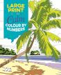 Large Print Calm Colour By Numbers - Preview
