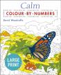 Large Print Calm Colour-By-Numbers - Preview