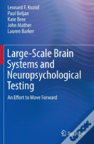 Large-Scale Brain Systems And Neuropsychological Testing