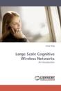 Large Scale Cognitive Wireless Networks - Preview