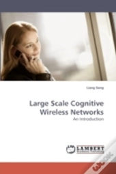 Large Scale Cognitive Wireless Networks