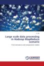 Large Scale Data Processing In Hadoop Mapreduce Scenario - Preview