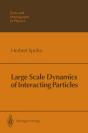 Large Scale Dynamics Of Interacting Particles - Preview