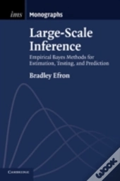 Large-Scale Inference