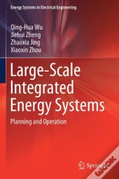 Large-Scale Integrated Energy Systems