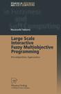Large Scale Interactive Fuzzy Multiobjective Programming - Preview