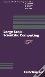 Capa do artigo Large Scale Scientific Computing