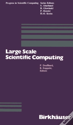 Capa do artigo Large Scale Scientific Computing