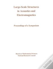 Large-Scale Structures In Acoustics And Electromagnetics