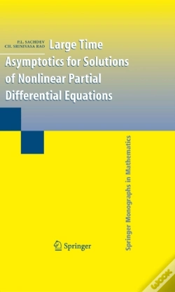 Capa do artigo Large Time Asymptotics For Solutions Of Nonlinear Partial Differential Equations