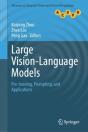Large Vision-Language Models - Preview