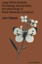 Large White Butterfly - Preview