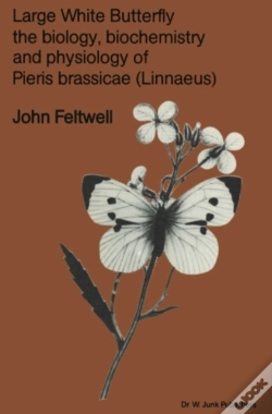 Capa do artigo Large White Butterfly