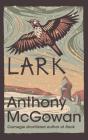 Lark - Preview