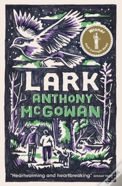 Capa do artigo Lark