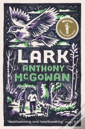 Capa do artigo Lark