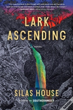 Capa do artigo Lark Ascending