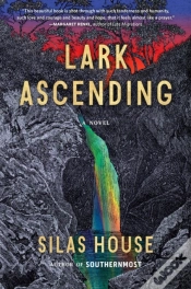 Capa do artigo Lark Ascending