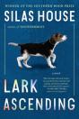 Lark Ascending - Preview