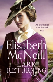 Capa do artigo Lark Returning