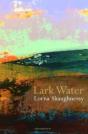 Lark Water - Preview