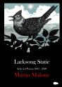 Larksong Static - Preview