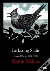 Capa do artigo Larksong Static
