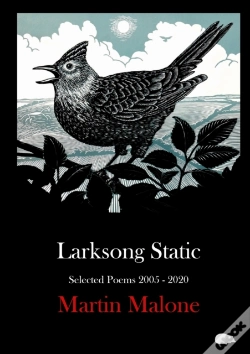 Capa do artigo Larksong Static