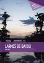 Larmes De Bayou - Preview