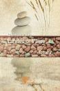 Larmes De L'Ame T.I - Preview