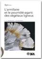 L'Armillaire Et Le Pourridie-Agaric Des Vegetaux Ligneux - Preview