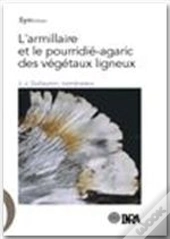 L'Armillaire Et Le Pourridie-Agaric Des Vegetaux Ligneux
