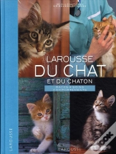 Larousse Du Chat Et Du Chaton