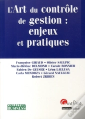 L'Art Du Contrôle De Gestion : Enjeux Et Pratiques