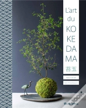 L'Art Du Kokedama