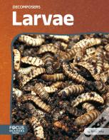 Larvae