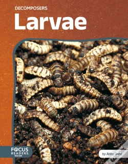 Capa do artigo Larvae