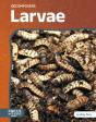 Larvae - Preview