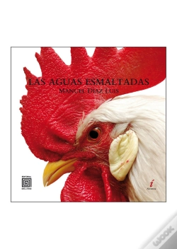 Capa do artigo Las Aguas Esmaltadas