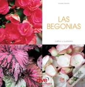 Capa do artigo Las Begonias