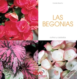 Capa do artigo Las Begonias
