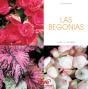 Las Begonias - Preview