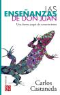 Las Enseñanzas De Don Juan - Preview